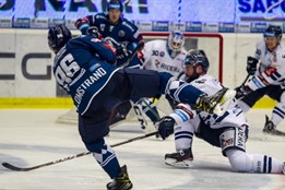 Plzeň porazila v důležitém utkání Vítkovice, přišla o Bulíře?