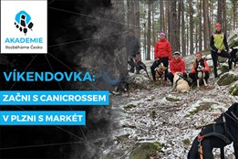 Víkendovka: Zlepši se v canicrossu v Plzni s Markét | Rozběháme Česko