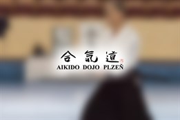 Seminář AIKIDO - Tanaka Kouichi (7. dan aikido)