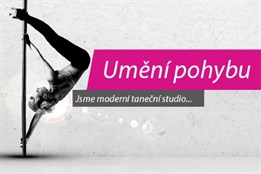 Příměšťák ve FITDANCEART