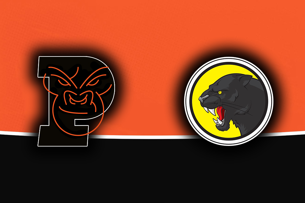 obr. ATT Gorily Plzeň - Panthers Praha