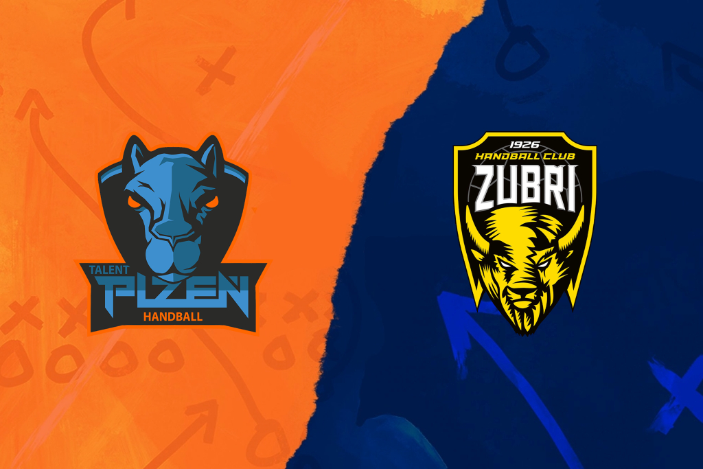 ilustrační obr. Talent tým Plzeňského kraje - HC ROBE Zubří